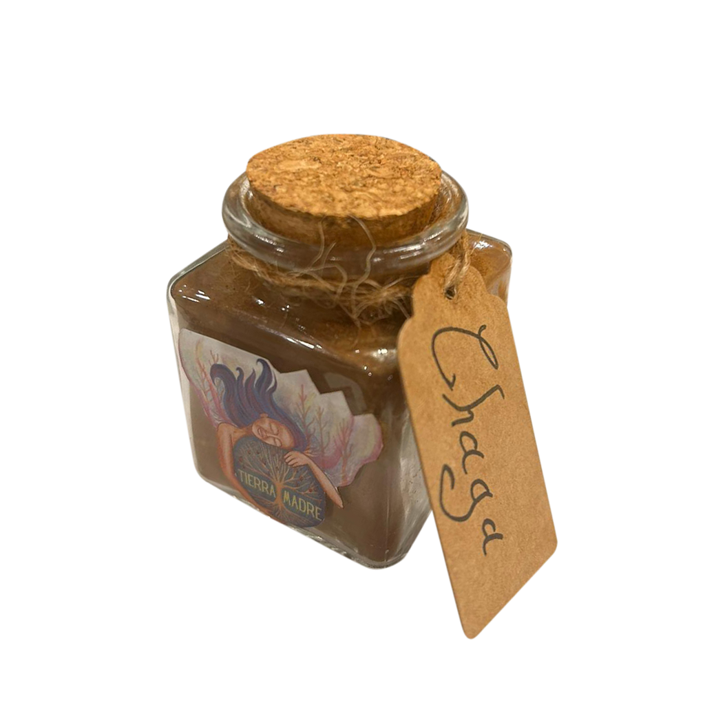 Organic Chaga Powder (20g)